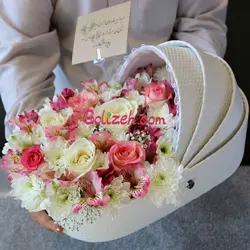 باکس نوزاد خاتون