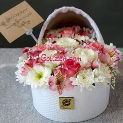 باکس نوزاد خاتون