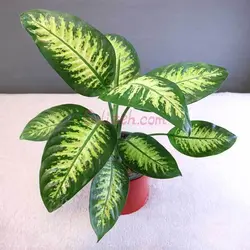 دیفن باخیا باگلدان فلزی