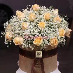 باکس گل رز و ژیپسی