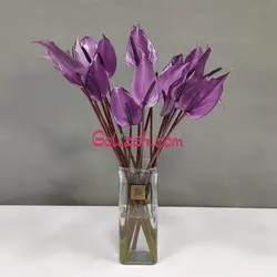 گل آنتوریوم بنفش