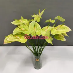 گل آنتوریوم سبز کاهویی