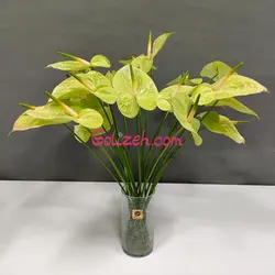 گل آنتوریوم سبز کاهویی