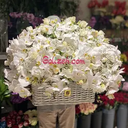 سبد گل ارکیده