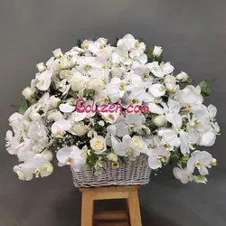 سبد گل ارکیده