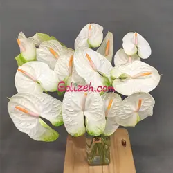 اشتراک گل آنتوریوم