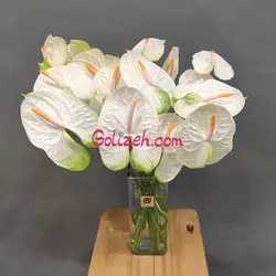 گل آنتوریوم سفید سبز