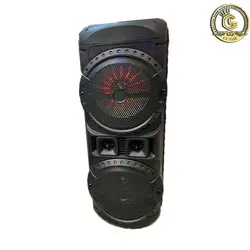 اسپیکر حرفه ای مدل ZQS 12201