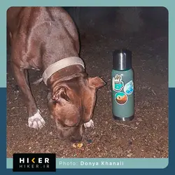 استیکر ۰۰۴۹