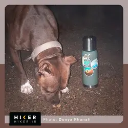 استیکر ۰۰۲۳