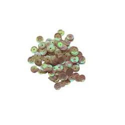 پولک کد SPGL-005 وزن 60 گرم