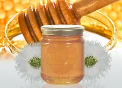 عسل اکالیپتوس