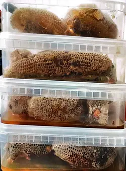 عسل وحشی رکو