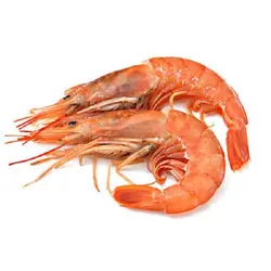 میگو پلویی یا سرتیز - هرمز ماهی