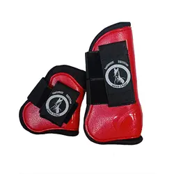 تاندون بند ایرانی