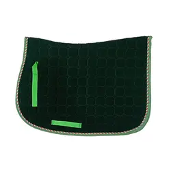 عرقگیر اشکان