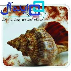 ترازو عقربه ای  خانگی ژوپیتر مدل a4