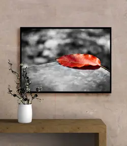 تابلو عکس تک برگ پاییزی