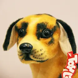 عروسک سگ طبیعی نژاد داشهوند سایز 30 سانتیمتر - عروسک پولیشی | فروش اسباب بازی