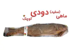 ماهی سفید دودی