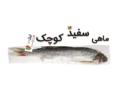 ماهی سفید خزر
