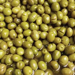 زیتون رودبار