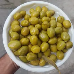 زیتون رودبار