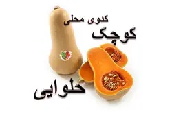 کدوی حلوایی