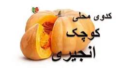 کدوی انجیری