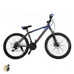 خرید دوچرخه کوهستانی استر سایز 26 مدل TSZ-525 |