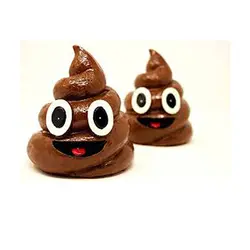 فلش مموری ایموجی پوپ Poop - فروشگاه جاهد (jahedshop)