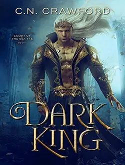 مشخصات و خرید کتاب Dark King پادشاه تاریکی - با 50 درصد تخفیف