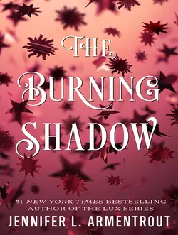 مشخصات و خرید کتاب The Burning Shadow سایه سوزان - با 50 درصد تخفیف