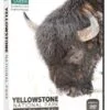 ویدیو مستند پارک ملی یلو استون YELLOWSTONE با تخفیف 50 درصد - فروشگاه کتاب ملت