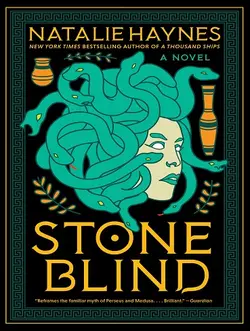 مشخصات و خرید کتاب Stone Blind سنگ کور - با 50 درصد تخفیف