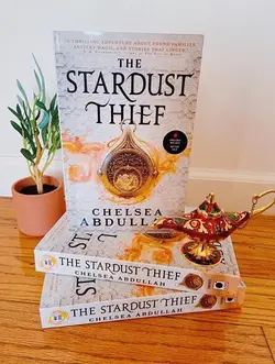 قیمت و خرید The Stardust Thief دزد غبار ستاره ای - با 50 درصد تخفیف