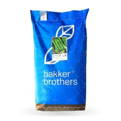 بذر لوبیا سبز بیکر