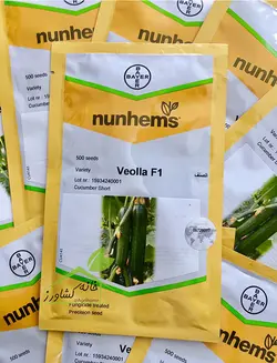 خیار گلخانه ای ویولا