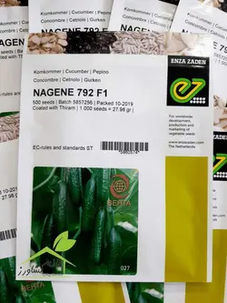 خیار گلخانه ای ناگین