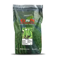 بذر نخود فرنگی آلدرمن GSN فرانسه