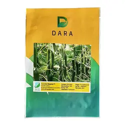 بذر خیار گلخانه ای رسپینا هلند