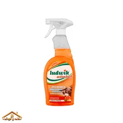 اسپری پاک کننده چربی سطوح 750میل مدل Fruits Active Foam لودویک ludwik