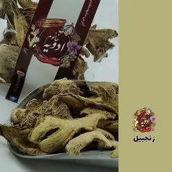 زنجبیل ناساب
