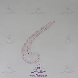 پک 19 عددی خط کش خیاطی ژله ای