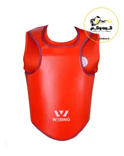 هوگو ووشو ویسینگ ایرانی دورنگ