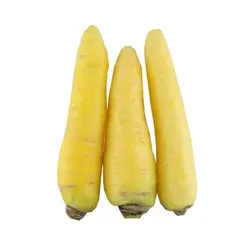 هویج زرد(زردک)