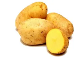 سیب زمینی جنوب تازه