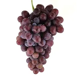 میوه و سبزیجات