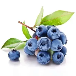 میوه و سبزیجات