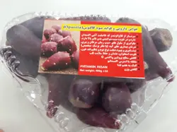 میوه کاکتوس